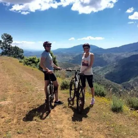 Centric Town * Марбелья