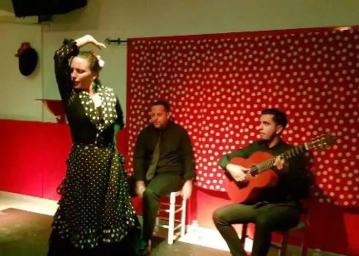 Centric Town Apartament Marbella